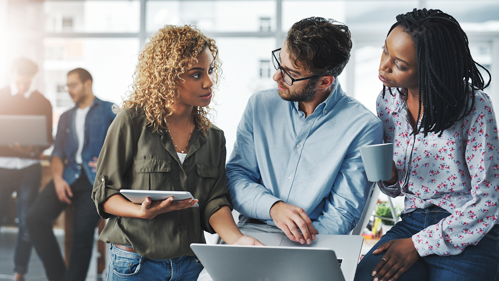 Diplômés universitaires